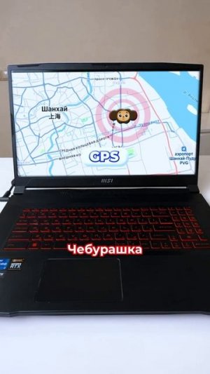 ЧЕБУРАШКА НА ВОЗДУШНЫХ ШАРАХ