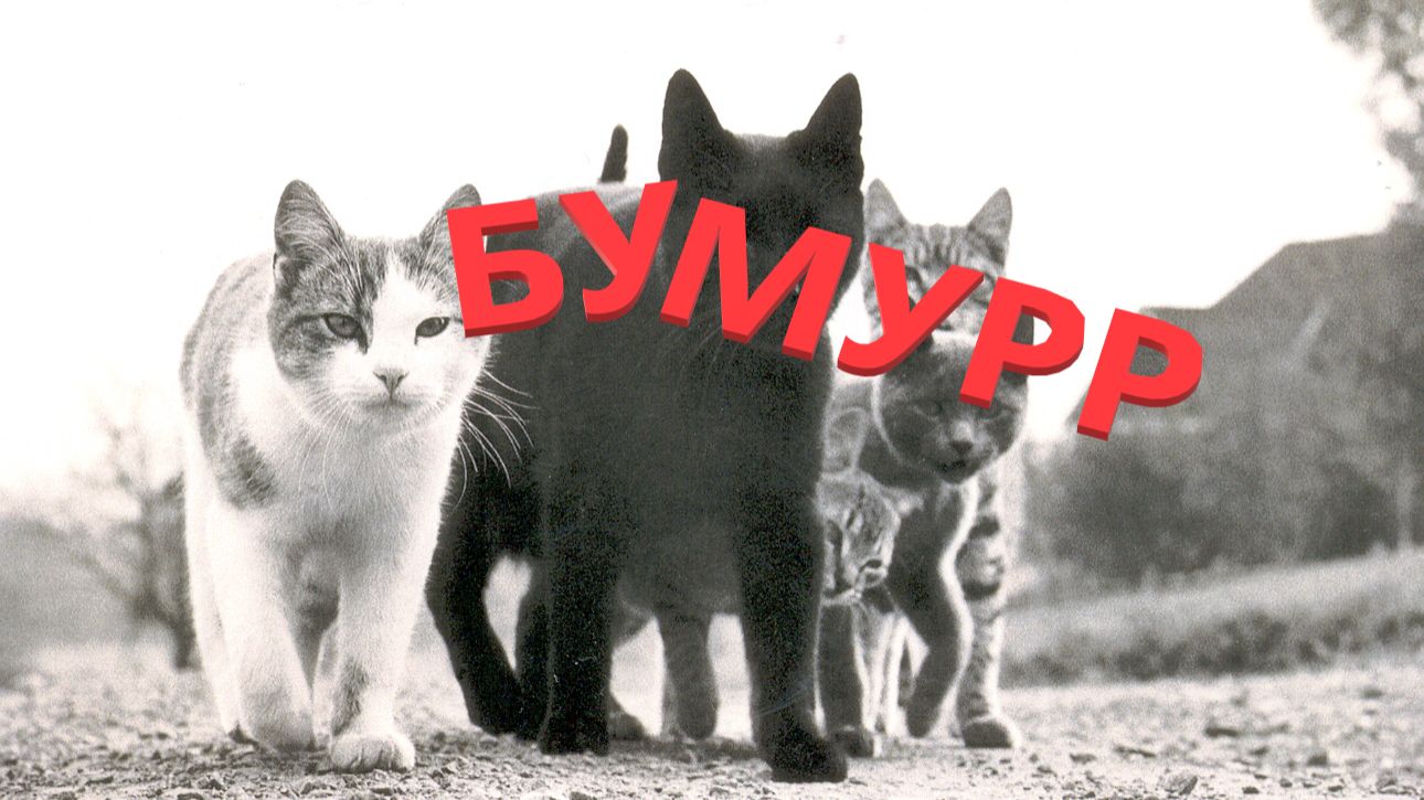 Бумер. Фильм третий