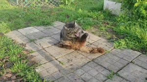 29 ноября-2 декабря 2025