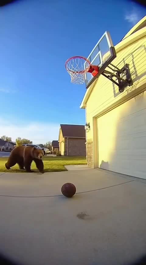 Ну че ? Кто cмелый поиграть ? смотреть онлайн