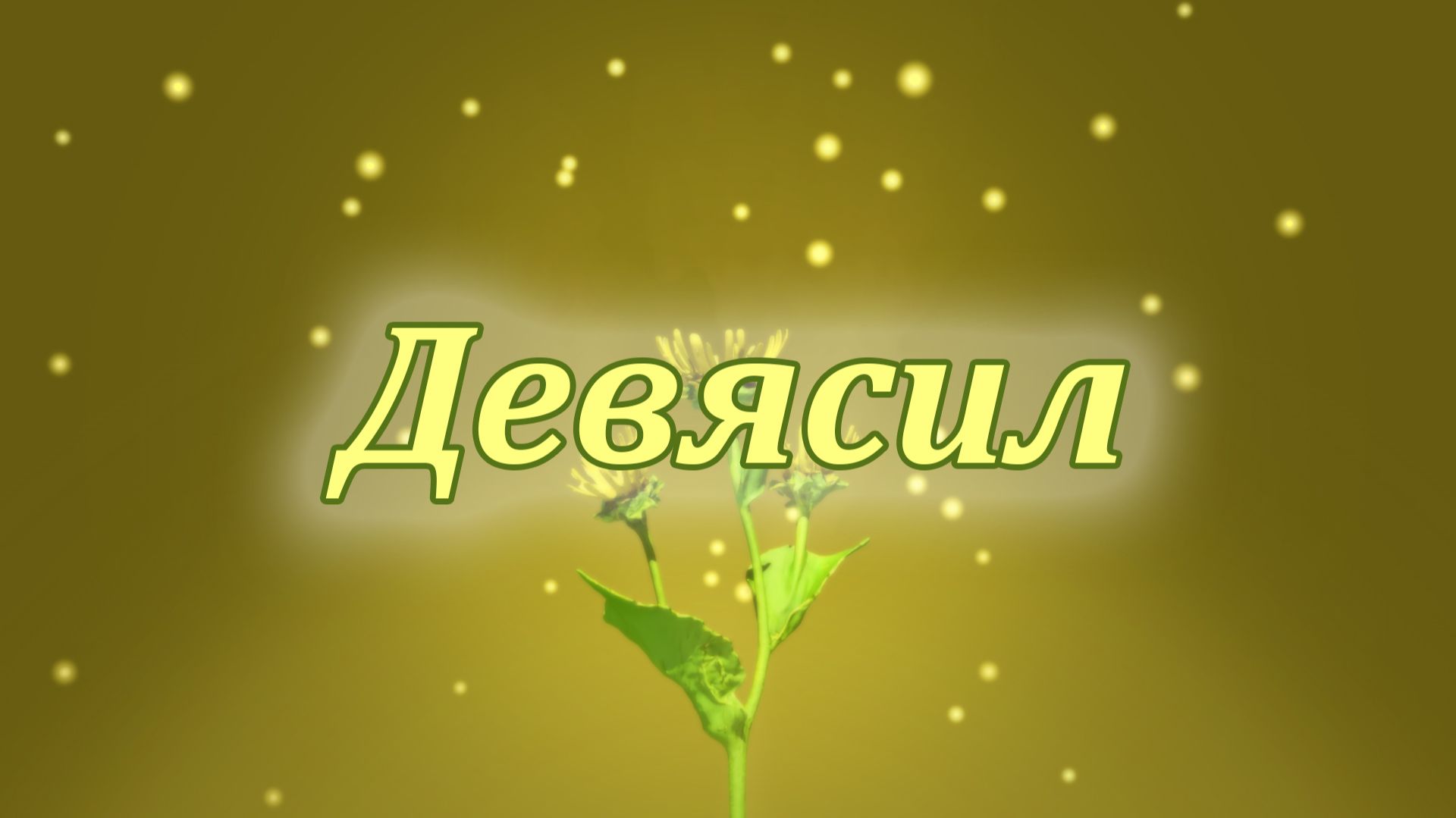 Целительная сила девясила смотреть онлайн