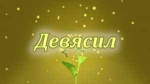 Целительная сила девясила