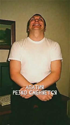 СТАДИИ. «Записи об аномалиях от К.О.Н.Т.У.Р. (ИИ анимация)» №28 ЗАПИСЬ 071