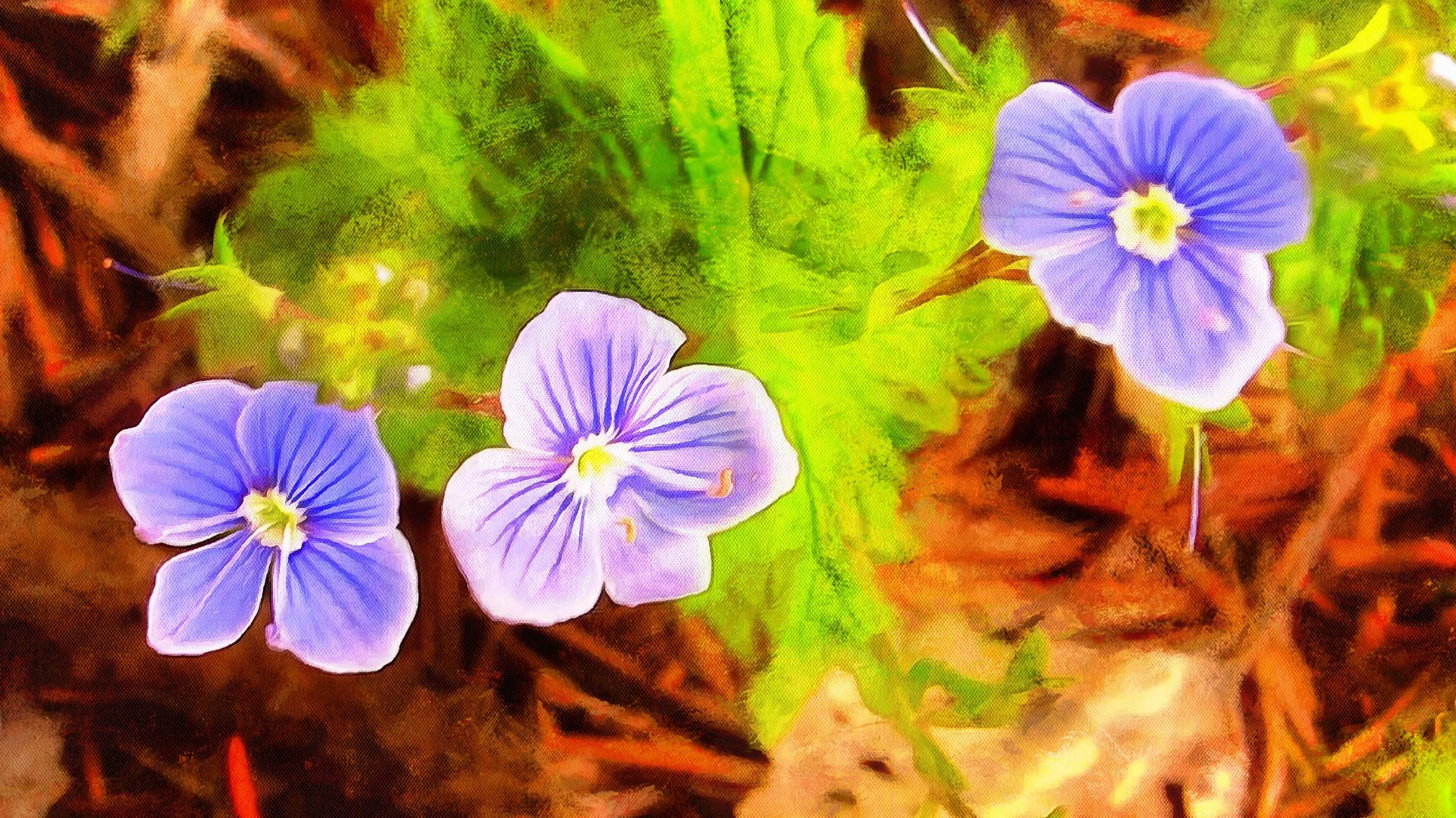 Незабудки смотреть онлайн