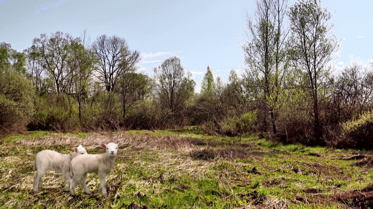 Последние дни апреля. смотреть онлайн