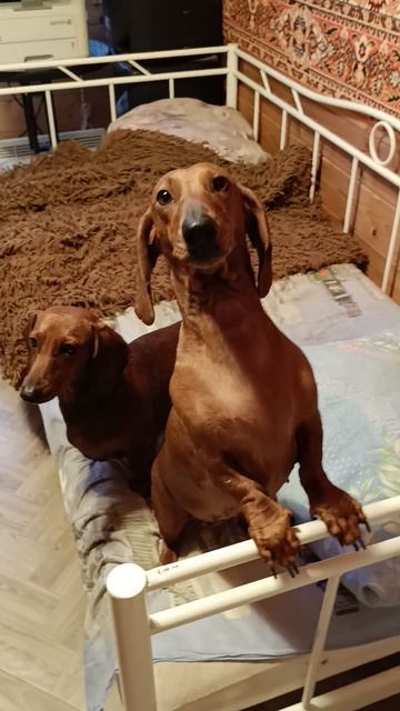 Осторожно громкая музыка...