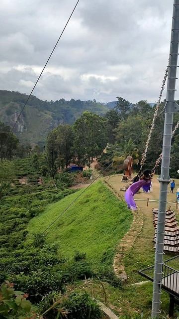 Город на ладони