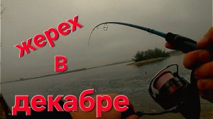 ЗИМНИЙ ЖЕРЕХ  ловля в начале декабря на Москве‑реке