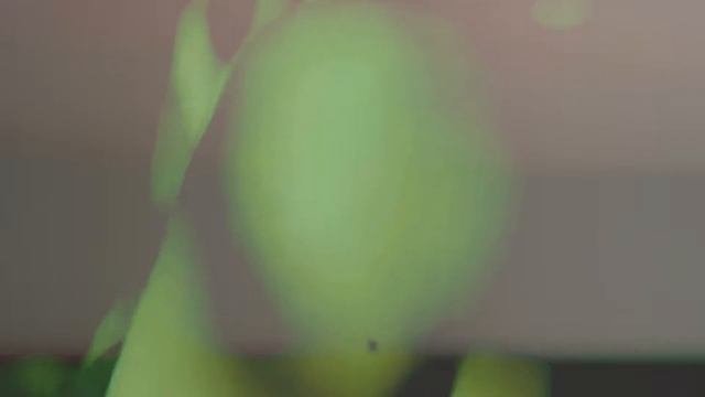 HUGEL x Topic x Arash feat. Daecolm | TO BE REMIX- (2025 Summer Afro House) –Andrw Flamez afro смотреть онлайн