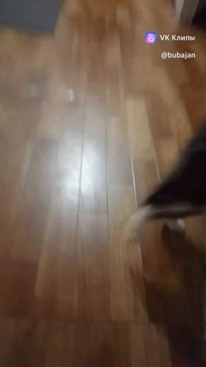 охотники на демонов