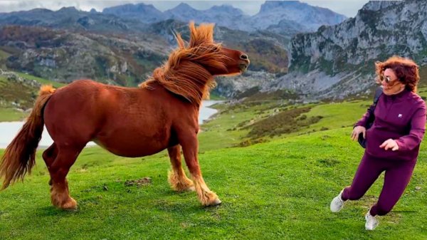 NEW! FailArmy. Best Viral Fails of December | Try Not to Laugh 🤣