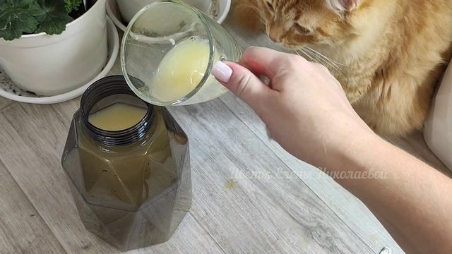 НАЛЕЙ в ГЕРАНЬ ЗИМОЙ и любой цветок чтобы листики не желтели и все цветы оживали и зазеленели смотреть онлайн