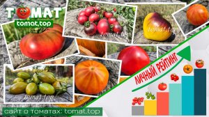 «Вкус — главное!»: Личный рейтинг томатов от перфекциониста. 20 самых желанных сортов томатов!