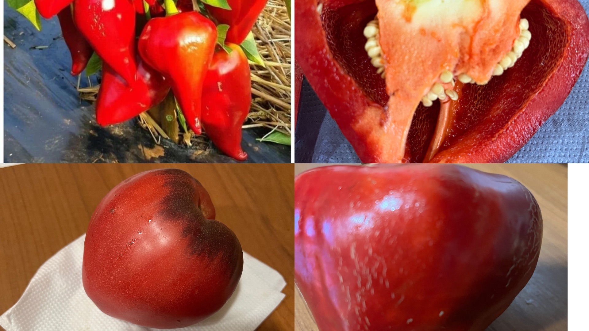 АВТОМИНУТКА✅АНОНС НА ТРАНСЛЯЦИЮ ✅/жизнь здесь и сейчас ❤️❤️❤️ смотреть онлайн