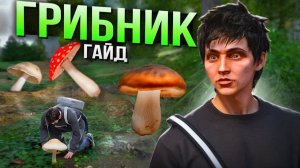 НОВЫЙ ГРИБНИК - ОЧЕНЬ ХОРОШ! ЛУЧШИЕ РАБОТЫ на МАДЖЕСТИК РП - ЗАРАБОТОК ДЛЯ НОВИЧКОВ ГТА 5 РП