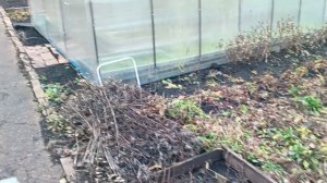 Краткий экскурс по осеннему саду без света 🥺