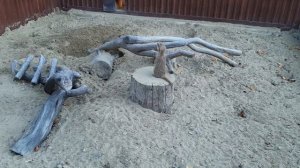 Сурикаты в зоопарке