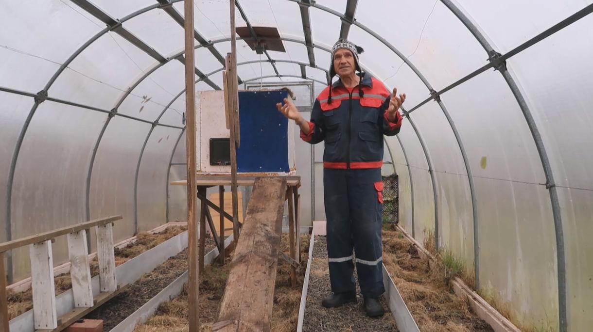 Как в теплицу провести свет и розетку