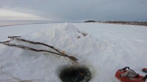 Ловля налима на перемёты. Отчёт с рыбалки.