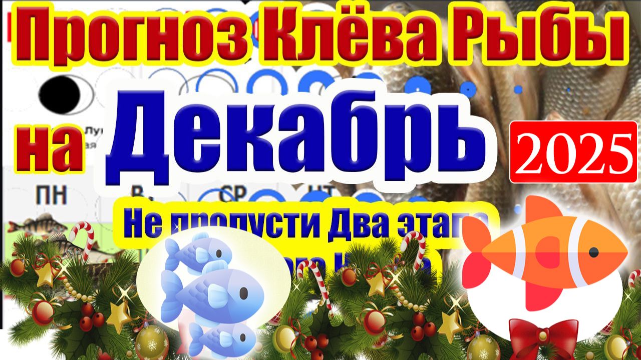 Прогноз клева рыбы на ДЕКАБРЬ 2025 года. Лунный календарь рыбака. Календарь рыбака на ДЕКАБРЬ смотреть онлайн