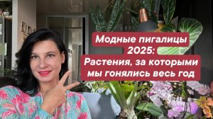 Самые модные комнатные растения 2025