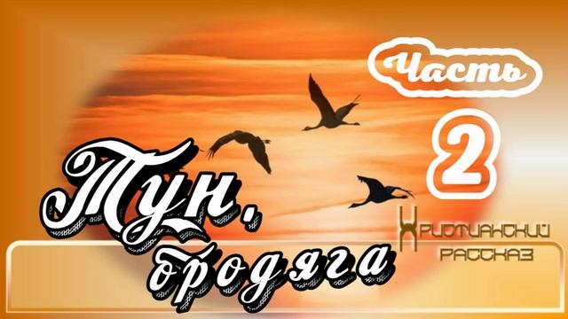 📗 "Тун, бродяга" Часть 2 ~ РАССКАЗ Христианский ~ 🟢ПРОДОЛЖЕНИЕ СЛЕДУЕТ ~ всего 4 части смотреть онлайн