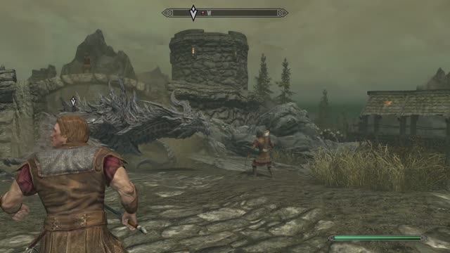 The Elder Scrolls V: Skyrim