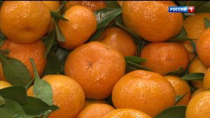 Вести-Томск, выпуск от 03.12.2025 11:30