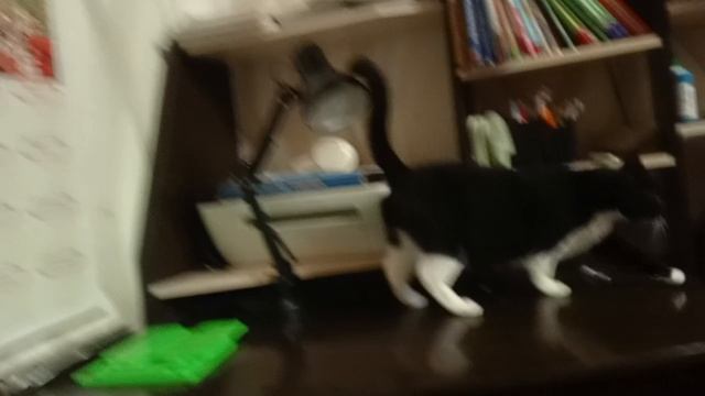 простите что долго не снимала смотреть онлайн