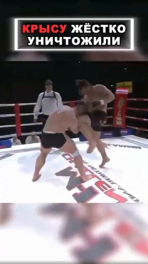 Жёстко уничтожил крысу🐀