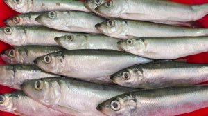 Беру самую ДЕШЕВУЮ мелкую рыбу! Все ХОЗЯЙКИ знают этот рецепт!