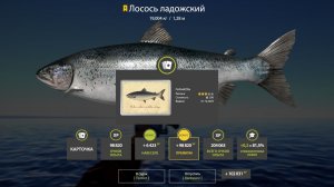 ЛЕГЕНДАРНАЯ РАЗДАЧА ФАРМА НА ЯМЕ, АРХИПЕЛАГЕ И МЕДНОМ 1000+ СЕРЫ ВЕЗДЕ В РУССКОЙ РЫБАЛКЕ 4 РР4