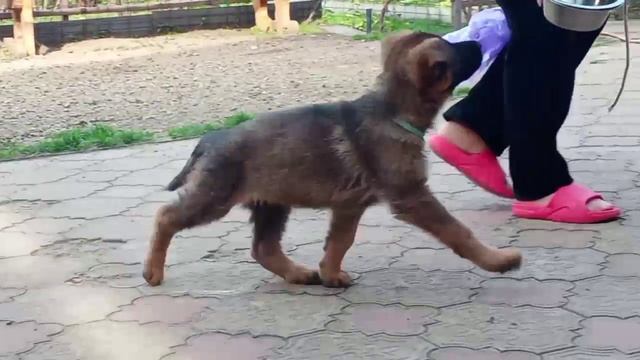 Баларис УЛЬТРА, 2 месяца 10 дней. смотреть онлайн