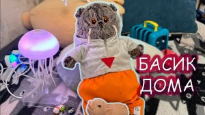 Басик дома 🏡🎁 Готовит макароны, заботится о свинке-реборне и делает подарок  💖Детское видео