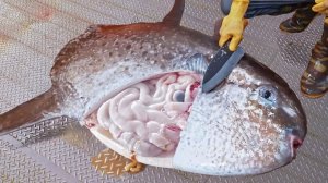 Потрясающий лов рыбы-луны, навыки разделки гигантской рыбы-луны, желе из рыбы-луны