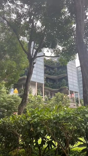 Обычный дом в Сингапуре #dreamway #сингапур #путешествия #туризм #тревелвлог #shorts #shortsvideo смотреть онлайн