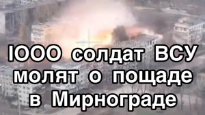 Больше 1000 ВСУшников просят пощадить их в Мирнограде. Окруженцы