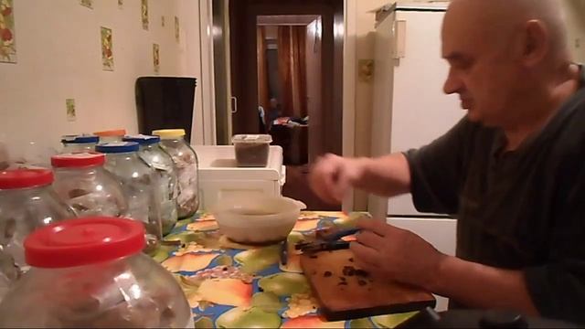 11. Видеоуроки В. Железова №13. _Стратификация семян - 2_.mp4 смотреть онлайн