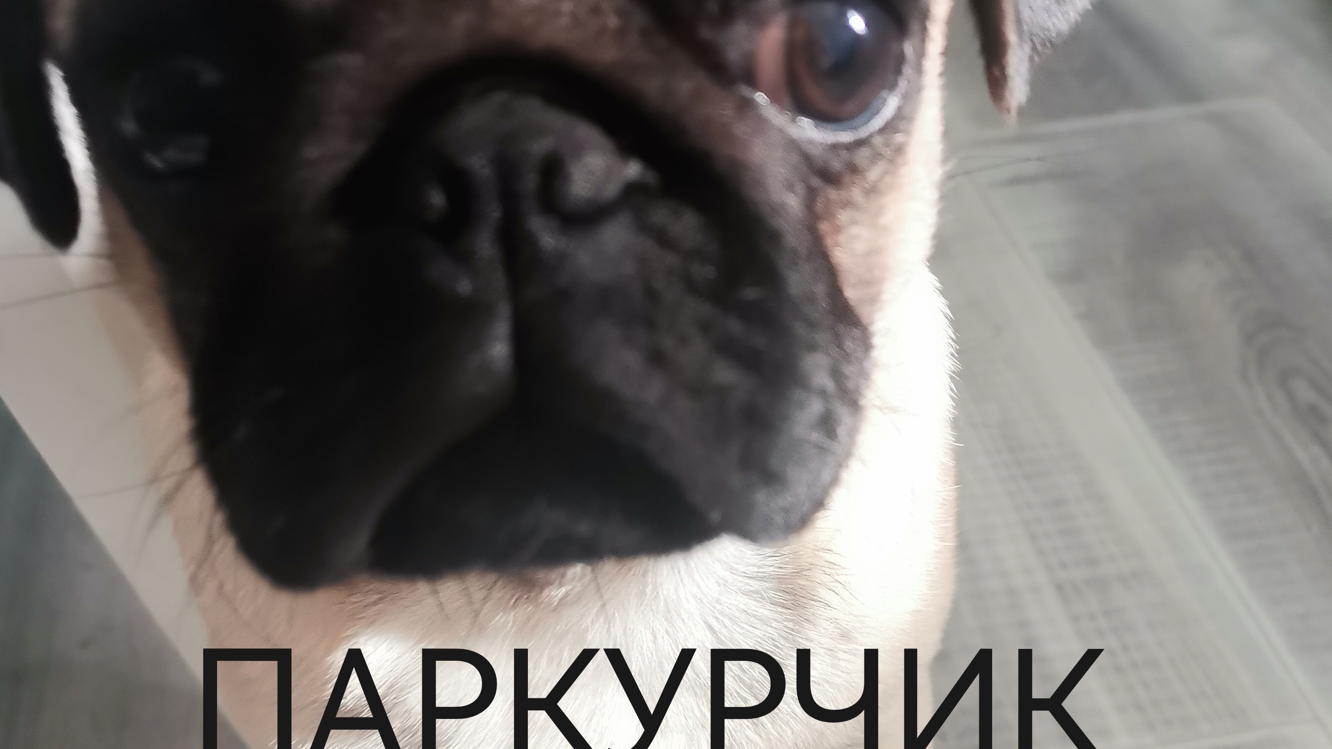 Паркур в майнкрафте смотреть онлайн