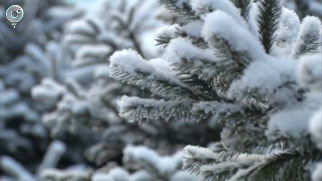 НОВОСТИ УТРА – 03 декабря 2025 [1080] [audiovk.com] смотреть онлайн