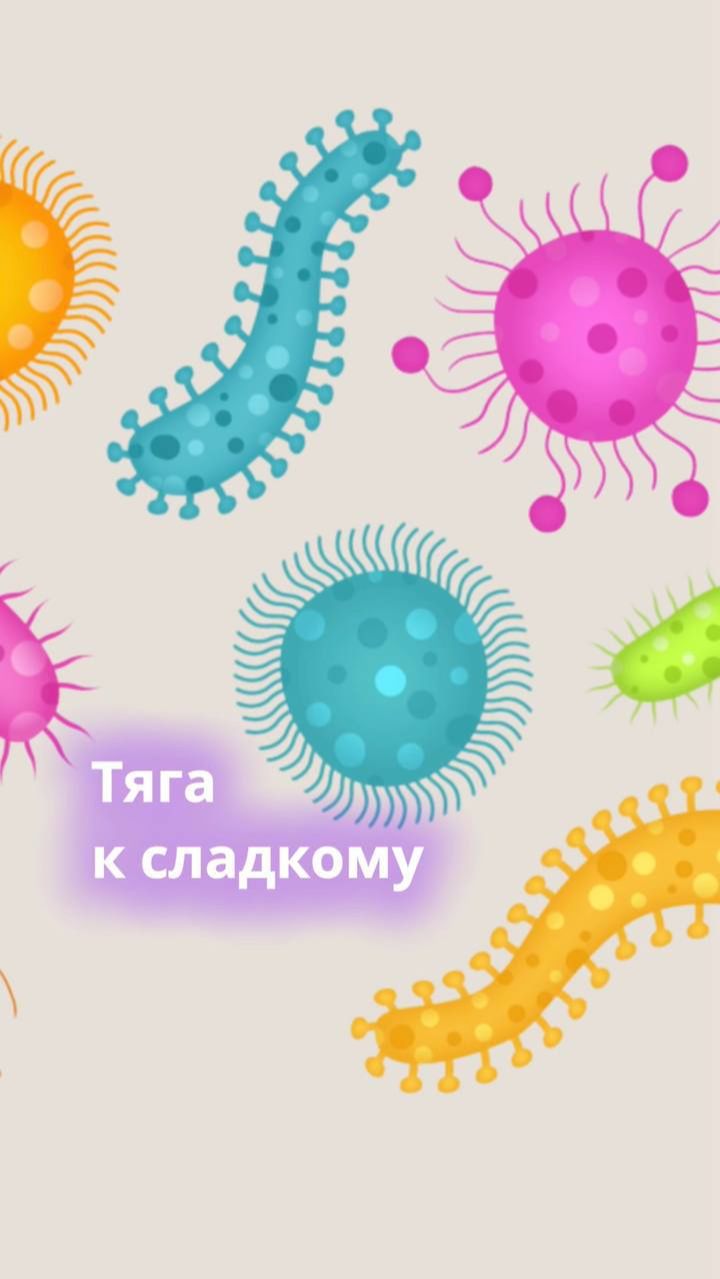 Как победить тягу к сладкому?  👀 #микробиота #кишечник #сладкое