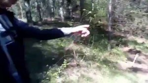 Земельный участок Крым Ялта