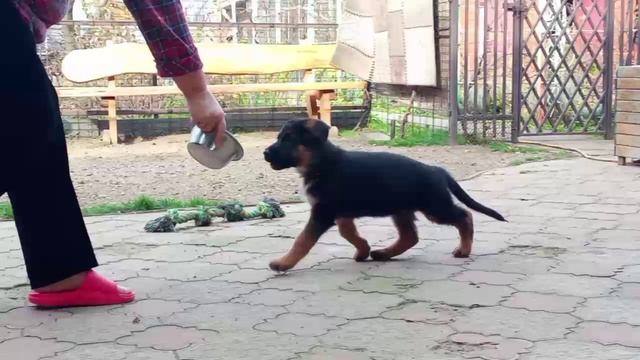 Баларис УРУС, 2 месяца 10 дней. смотреть онлайн