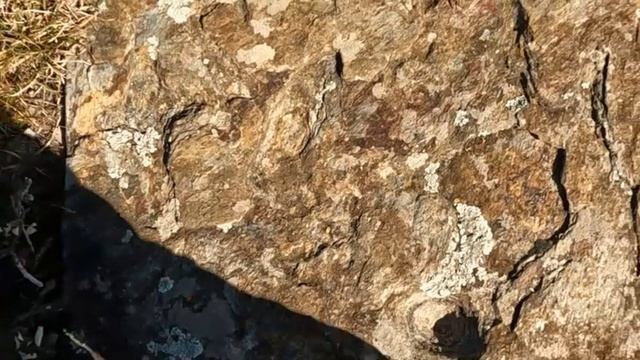 ВСТРЕЧА С КРЕСТАМИ КОТОРЫМ 5000 ЛЕТ