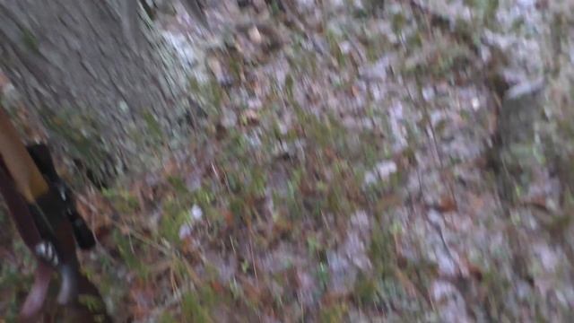 Охота на соболя. Сезон 6. Часть1 смотреть онлайн