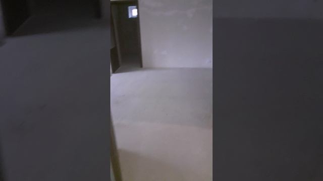20251203_143918.mp4 смотреть онлайн