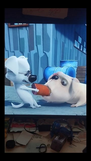 жиза когда сломался телек пора ввалить в детдом.mp4