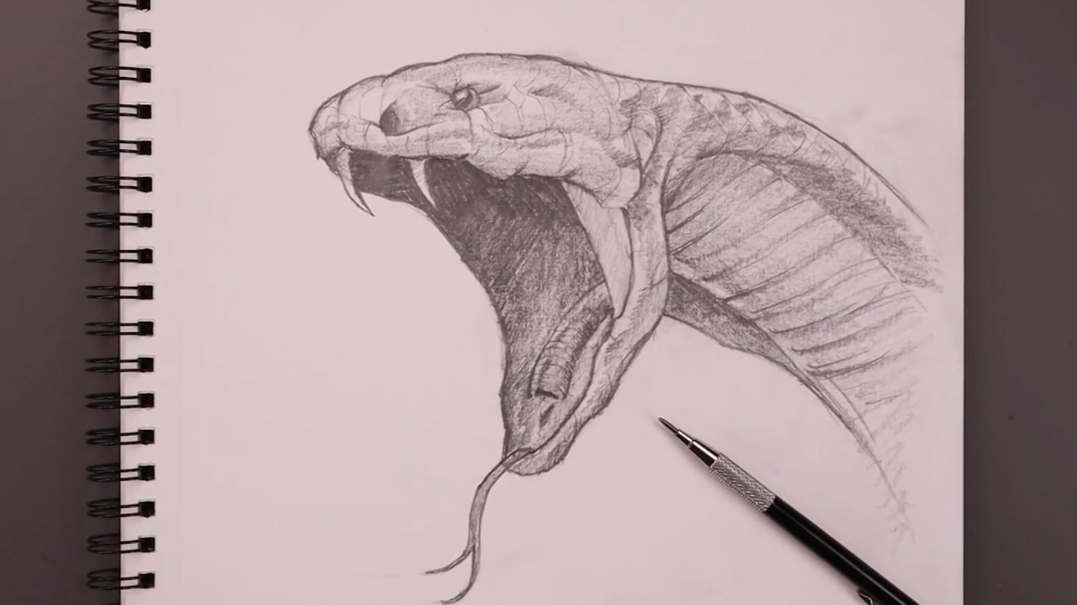 Как нарисовать змею Кобру карандашом поэтапно смотреть онлайн