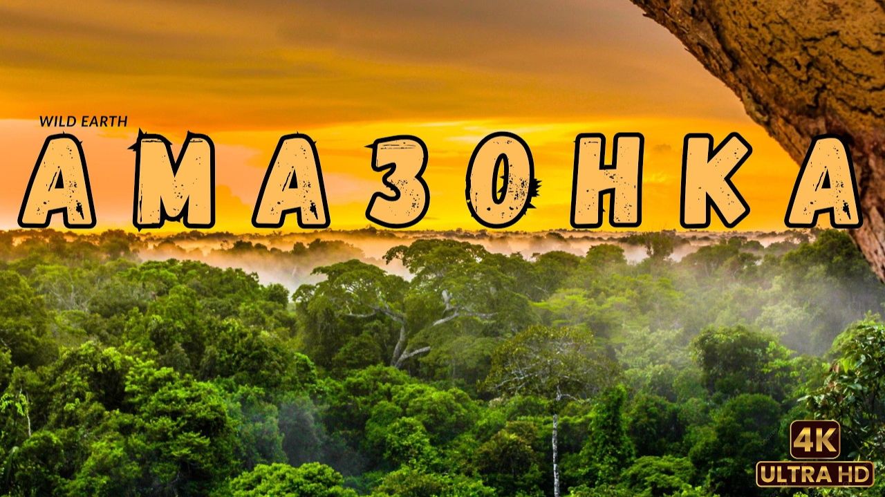 Дикая Амазонка Легенды джунглей Wild Amazon Legends Of The Junglе WILD EARTH