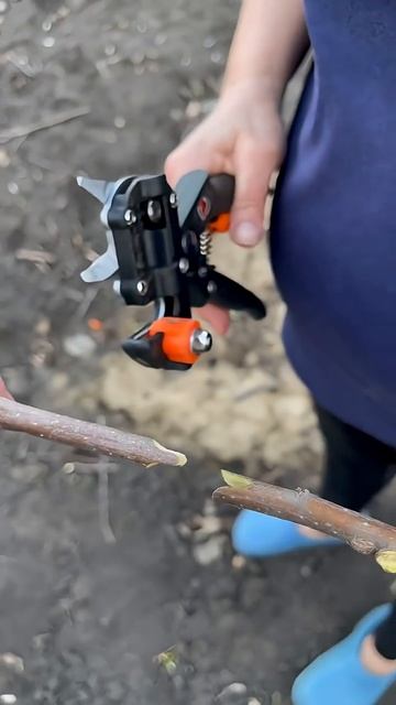 Секатор прививочный от компании Finland😎👌 смотреть онлайн